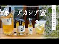 【国産はちみつ】アカシア蜜のご紹介