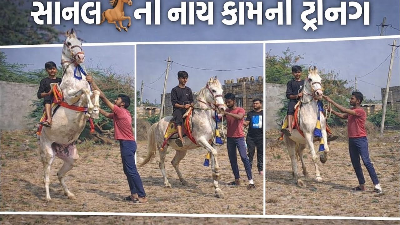 સોનલ 🐎ની નાચ કામ ની ટ્રેનિંગ
