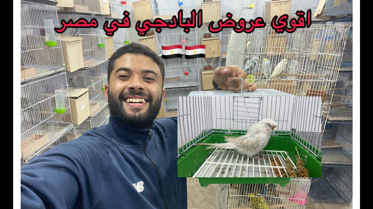 اجمد فيديو عروض علي القناة كلها🔥🔥🔥💪