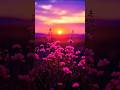 Summer Vibes #musik #nature #beautiful #shorts