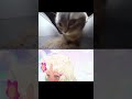 【チピチピチャバチャバやってみた】 #チピチピチャバチャバ　#猫ミーム　#猫meme #catmemes #vtuber #新人vtuber #ケモミミvtuber #shorts #女性実況者