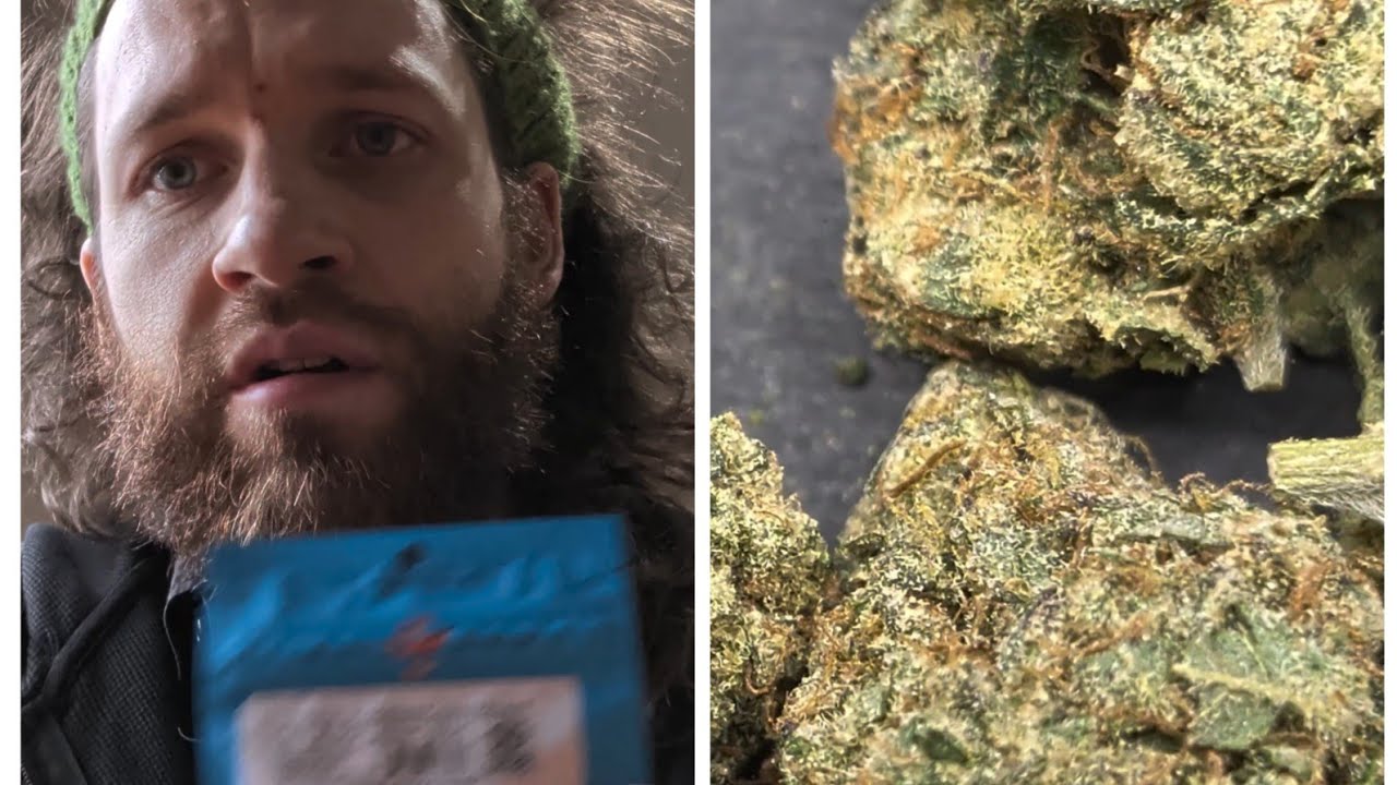 Revelry Hemp. "Blueberry cheesecake" AAA Indoor Thca flower 🤩