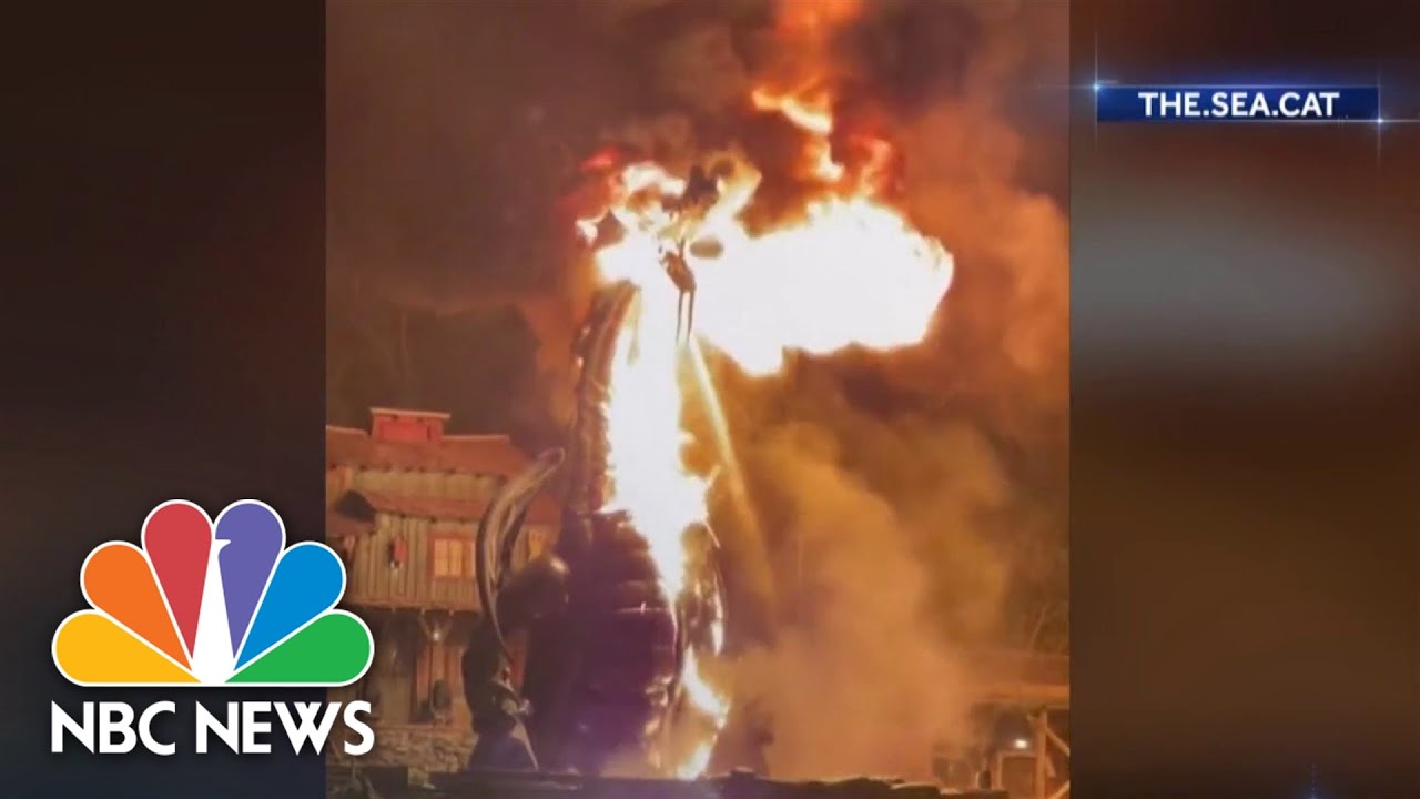 Disneyland park-goers evacuated after fire-breathing dragon prop becomes engulfed in flames