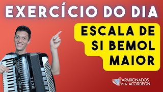 B F F Major Scale on Accordion | #accordionclassroom #phonophoneclassroom B F F Major Scale on Accordion | #accordionclassroom #phonophoneclassroom