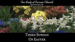 Mass for the 3rd Sunday of Easter - April 19th, 2026