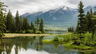 Dawit Getachew classical music and videos of nature full 1 hour