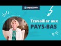 Travailler aux paysbas  dcryptage et conseils aux expatris