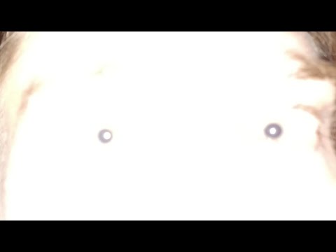I HAVE ZERO SERVICE! - LIVE stream from Stephen M. Green, which was up on May 21st, 2022.