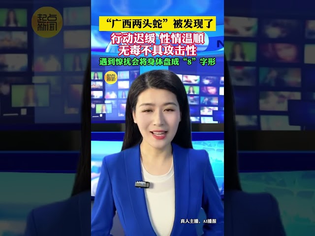 “廣西兩頭蛇”被發現了 無毒不具攻擊性