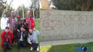 Cabbage Patch Piru Gang History (Carson, Ca)