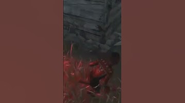 New window tech. #dbd #gaming