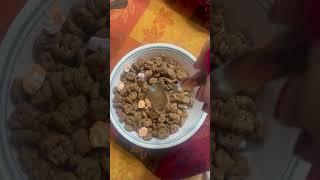Yummy Count Chocula Chocolate Ceeeal With Marshmallows General Mills Count Chocula Breakfast Cereal,