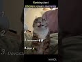 Ranking The Funniest Chicken Scream Moments 🐔😂 #funny #hilariousfails #viral #ytshorts