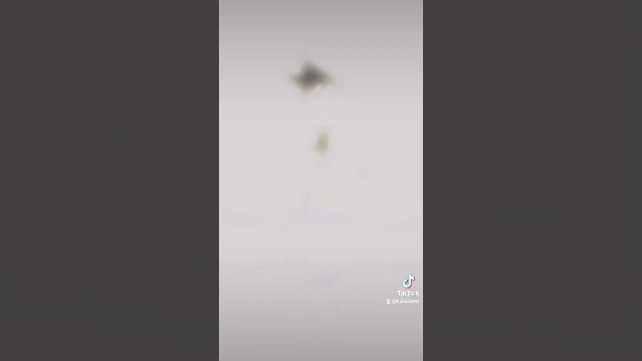 One Piece Vinsmoke Family Transformation 