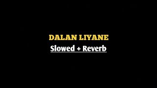 DALAN LIYANE - SLOWED DAN REVEB 🎵