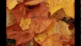 Fall photos 2012