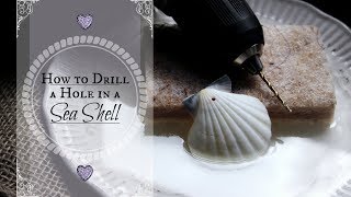 HOW TO DRILL A HOLE IN A SEASHELL ♥ Drilling Holes in Shells Tutorial (Mermaid Crafts for Adults)