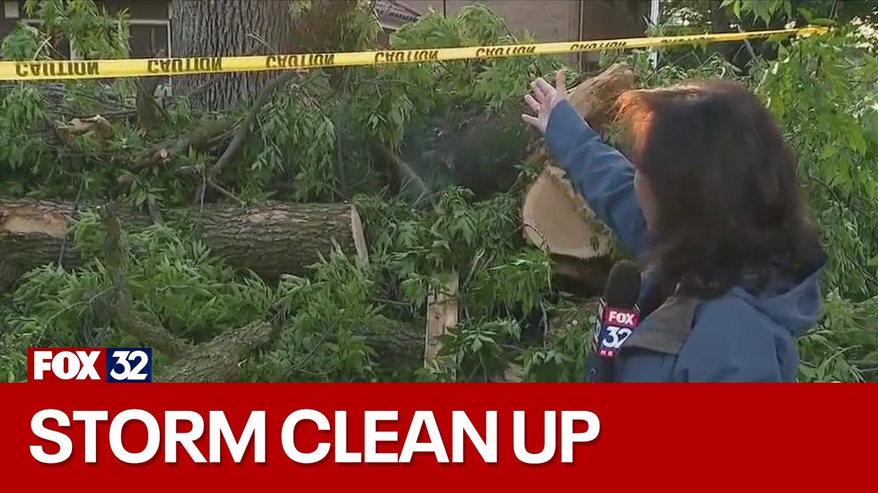 Cleanup begins in Beverly after severe weather plows through Chicago ...