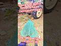 Dog Release Same Location City #dog #release #dogwithpublicsafety #ytviral #pets #dogshorts #shorts