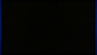 New Launching Logo Baru SYULOTARA screenshot 5