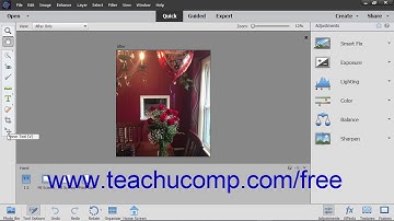 Photoshop Elements 2019 Tutorial The Quick Edit Mode Adobe Training
