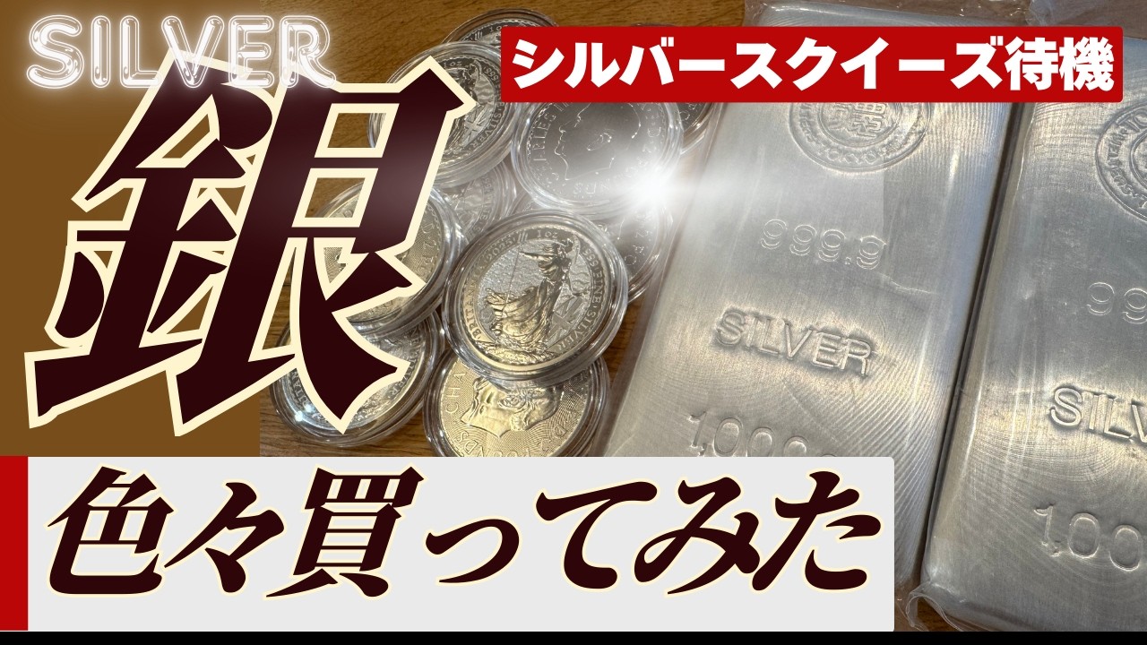 【金より儲かる？】銀インゴットと銀貨をどこで幾らで買った？地金商やコインショップ比較、注意点も解説！【銀投資】