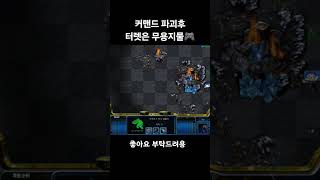 하이라이트 #shorts #games #game #스타크래프트 #스타크래프트리마스터 #스타 #starcraft #게임 #빠른무한 #빨무 #빨무팀플 #gaming #프로토스 #방송