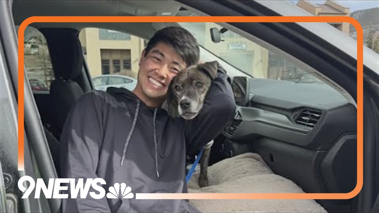 Dog survives 43 days in the Rockies