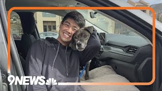 Dog survives 43 days in the Rockies