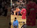 琴奨菊断髪式✂️息子と👦👶最後の一番②