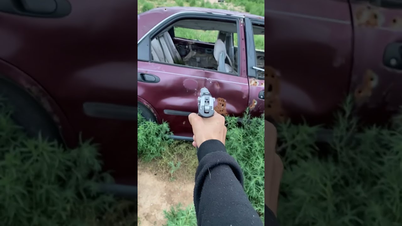 Ruger P89DC