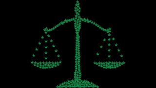 New York Doctors Can prescribe Medical Marijuana, For Any Condition They See Fit. Video By My420Spot