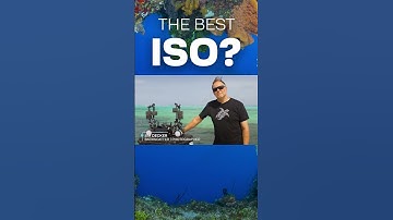What Is The Best ISO For Underwater Photography & Video? #shorts #underwaterphotography