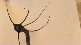 UC Berkeley Green Chemistry - Natural Ink