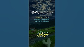 اللهم اجعل القران الكريم ربيع قلوبنا ونور صدورنا وجلاء أحزاننا وذهاب همنا