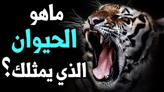 ماهو الحيوان الذي لديه نفس شخصيتك؟ إكتشف ذلك عن طريق هذا الإختبار !!