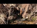 No interruption   continuous relaxation arizona water flow