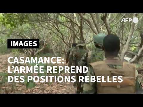 Video: Le Tue Prime 24 Ore A Bangui, Repubblica Centrafricana - Rete Matador