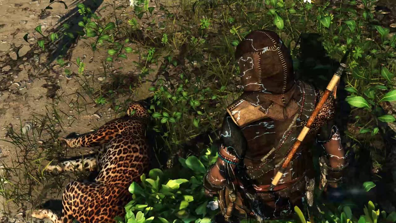 Assassins Creed Black Flag Jaguar
