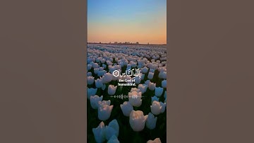 قل أعوذ برب الناس 🤍⚘️سورة الناس 🥀حالات واتس اب قرآن كريم تلاوة مؤثرة Quran 💛 ♥️