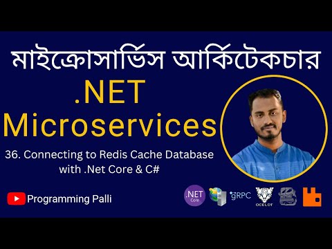 36. Basket.API Microservice using .NET 7: Connecting to Redis Cache Database with .Net Core & C#