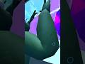 #shorts #sharkgo #vr #video #funnyshorts #funnyvideos #funny