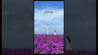 🦋 Dreamy Visuals &amp; Soft Music | Ashish Youtuber Ji Edits
