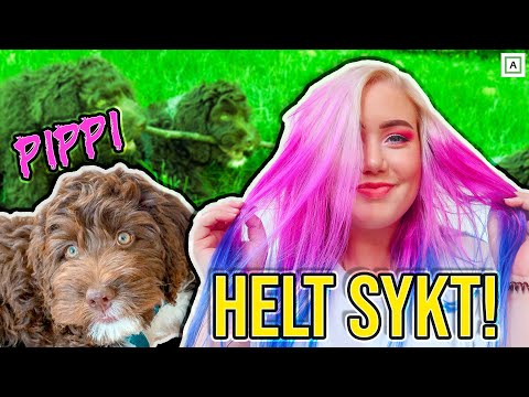 Farger Håret og Pippi Møter Familien Sin! // Vlogg