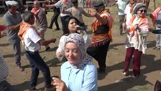 Goca Çamı Kesemedim Budaktan.