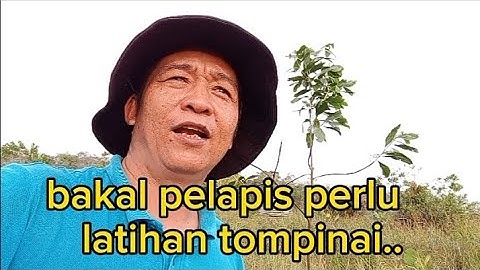lanjut mikat !! port baru tanah gambut#pikatburung#serinditgacor#serindit#pikatserindit#kicaumania