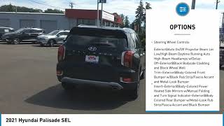 2021 Hyundai Palisade H3949