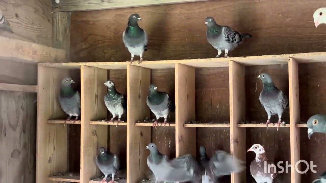 It's still hot - YouTube