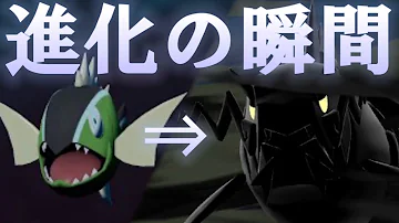 バスラオ Mp3
