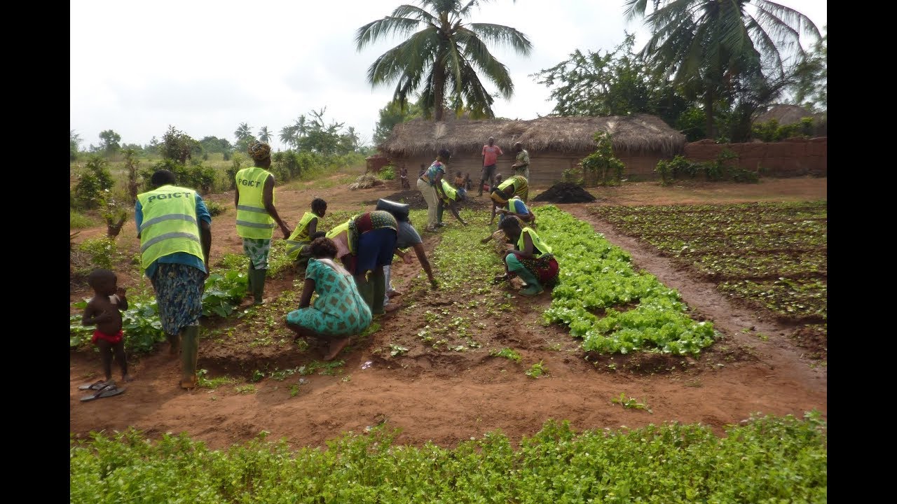 WEP TOGO Projet d'adaptation au changement climatique avec les femmes